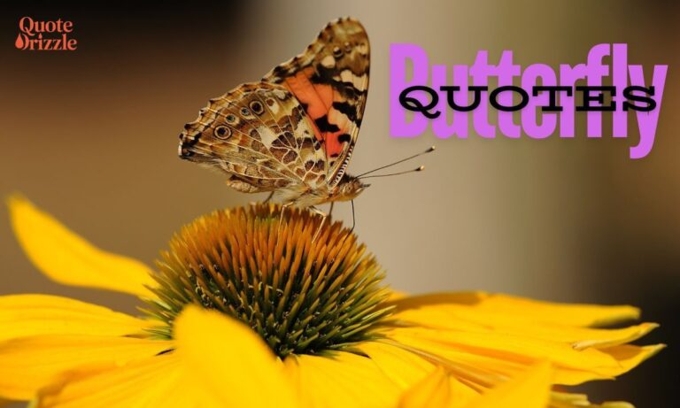Butterfly Quotes (1)