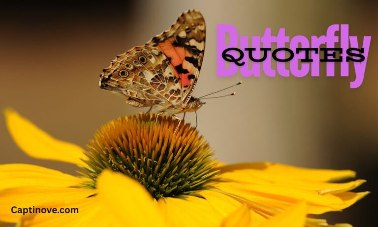 Butterfly Quotes (1)