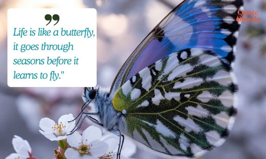 Butterfly Quotes About Life (1)