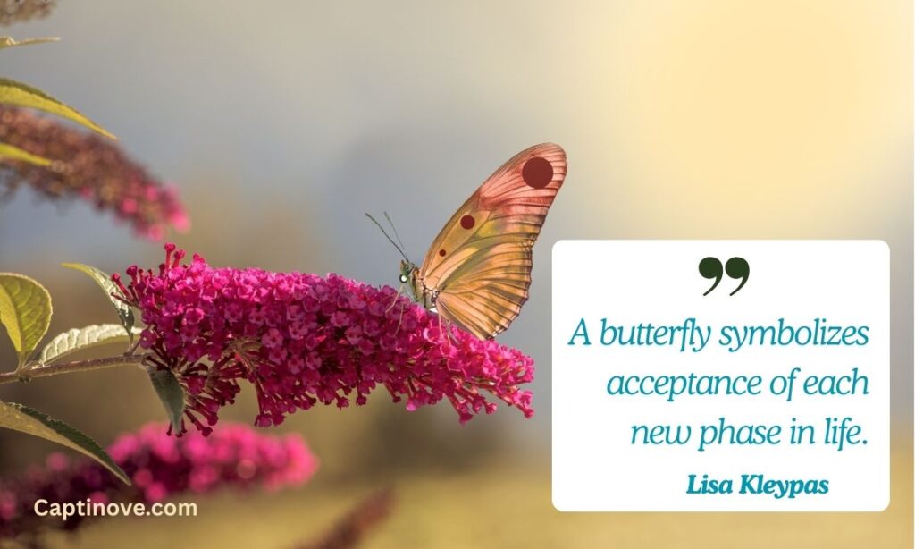 Famous Butterfly Quotes