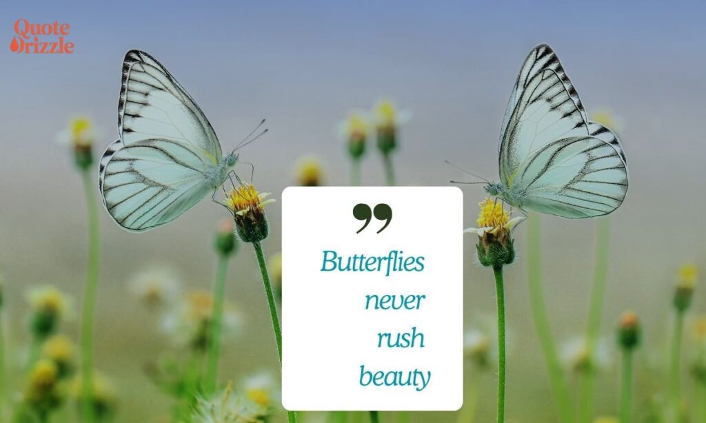 Short Butterfly Quotes (1)
