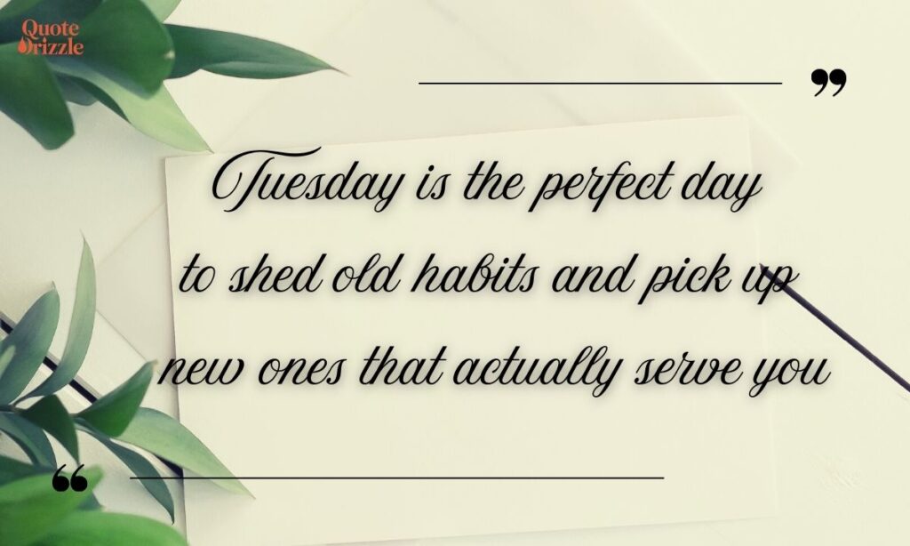 Transformation Tuesday Quotes