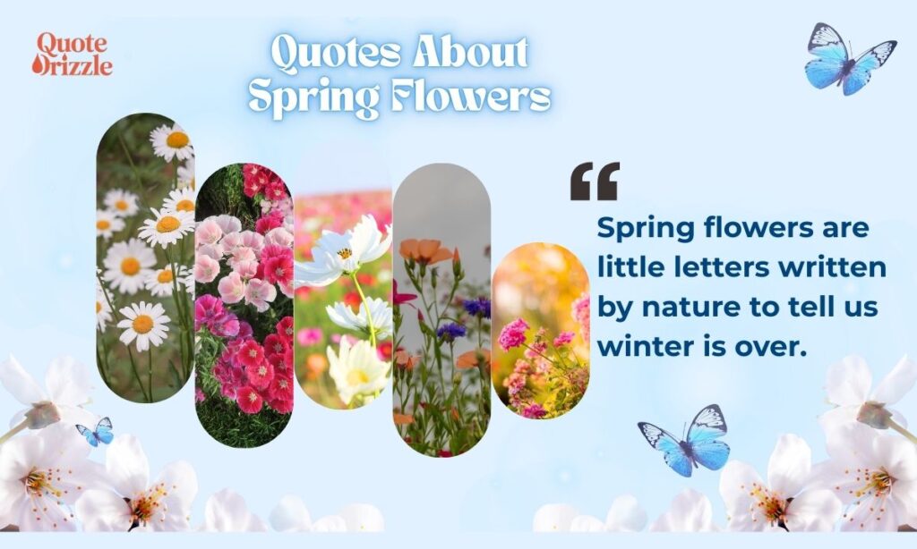 Quotes About Spring Flowers
